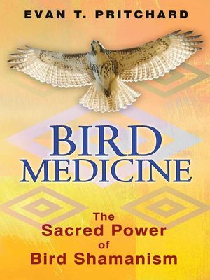 cover image of Bird Medicine